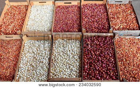 Onions For Sowing Of Different Varieties. Planting Material. Planting Material.