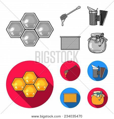 A Frame With Honeycombs, A Ladle Of Honey, A Fumigator From Bees, A Jar Of Honey.apiary Set Collecti