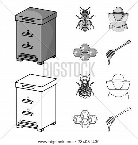 The Bee, The Bee-keeper In The Mask, The Honeycomb Of The Honey.apiary Set Collection Icons In Outli
