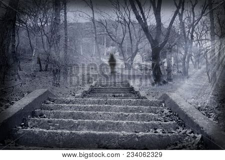 Magical Mystical Forest. Tuman, Shadow, Fantastic Landscape Photo. Seasonal Grass And Leaves Of Autu