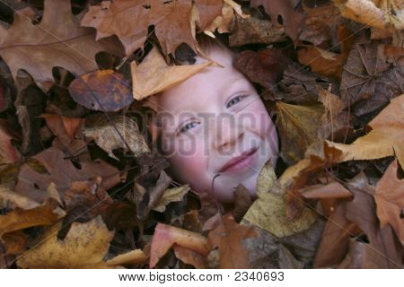Jongen In bladeren
