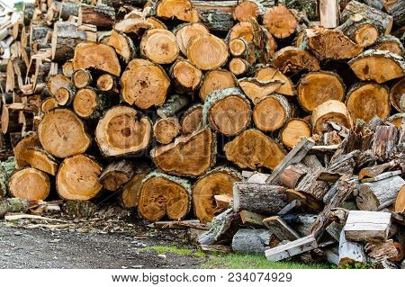 Wooden Logs Stacked Up To Become Firewood, Isla Martillo, Patagonia