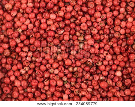 Pink Pepper Or Red Pepper Corns Background. Schinus Dry Seeds Texture Top View