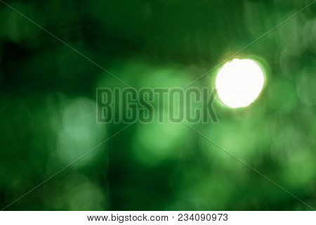 Abstract Blur With Bokhe Of Light Through The Green Trees