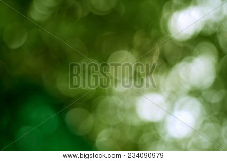 Abstract Blur With Bokhe Of Light Through The Green Trees