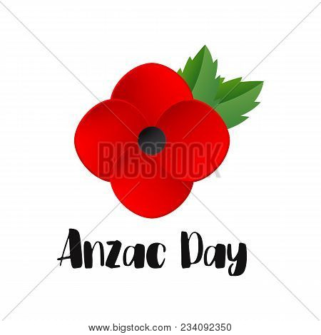 Anzac Day Vector Card. Red Poppy Flower International Remembrance Day Symbol Of Peace. Vector Illust