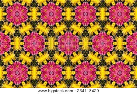 Wide vintage seamless background pattern. Rose, poppy, wild flowers with nightingales and leaf. Abstract, hand drawn, vector - stock.