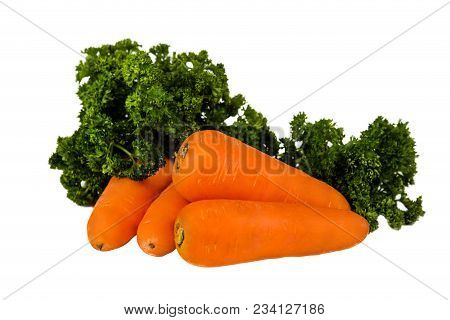 Fresh Carrots With Parcley Isolated On White Background. Raw Carrots, Vegetarian Food. Fresh Uncooke