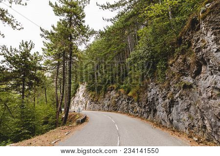 Beautiful Mountain Road Surrounded With Pines, Peille, France