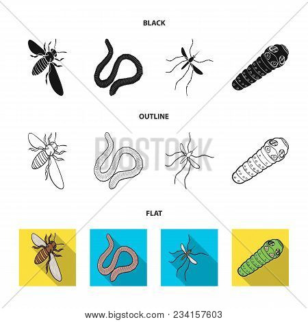 Arthropods Insect Mosquito, Bee.earth Worm, Caterpillar, Vermicular Set Collection Icons In Black, F
