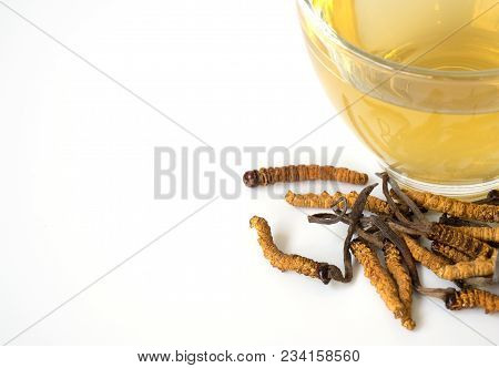 Select Focus Of Mushroom Cordyceps (chong Cao) This A Herbs. With A Glass Of Water, Add Water From T