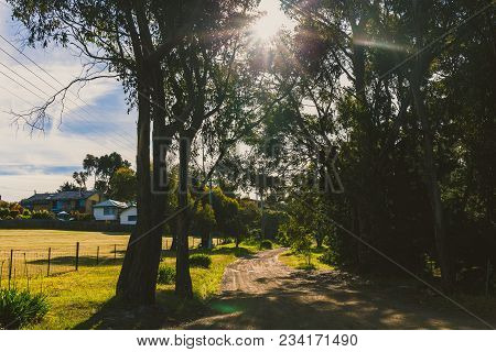 Hobart, Australia - December 25th, 2013: Jindabyne Road, Boronia Reserve, Kingston, Tasmania