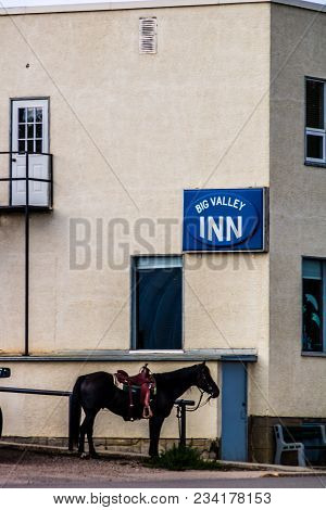 Designated Rider Awaits, Big Valley, Alberta, Caanda