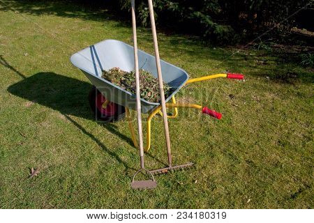 Wheel Barrow On The Grass In The Garden With Rake And Hoe