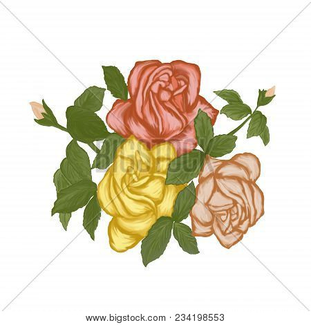 Multicolored Roses.beautiful Bouquet Of Roses On A White Background.