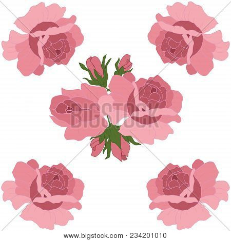 Delicate Roses On A White Background. A Background Of Roses.