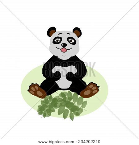 A Cheerful Panda Sits And Chews Bamboo.panda And Bamboo.
