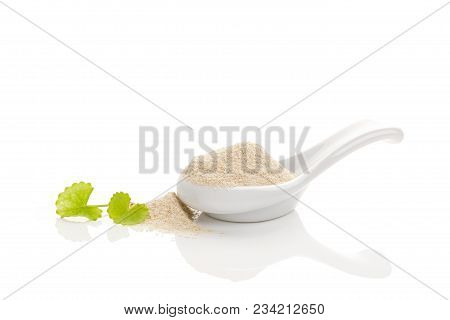 Asiatic Pennywort Gotu Kola Powder In White Spoon, Isolated On White Background. Alternative Medicin