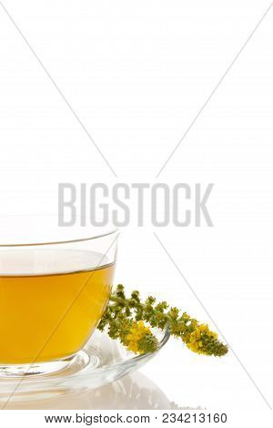 Healthy Common Agrimonia Cup Of Tea With Agrimonia Flowers. Isolated On White Background. Herbal Rem