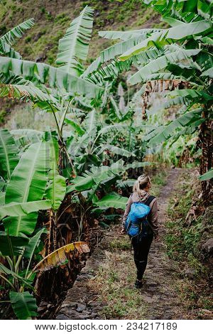Cape Verde. Blond Young Women With Blue Backpack Walking Through Banana Plantation On The Trekking R