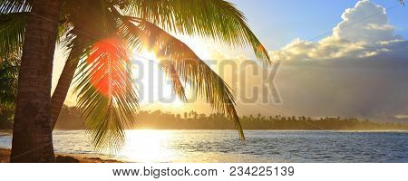 Tropical Beach Background At Sunrise With Coconut Palm Trees .colorful Surise On Tropical Beach.