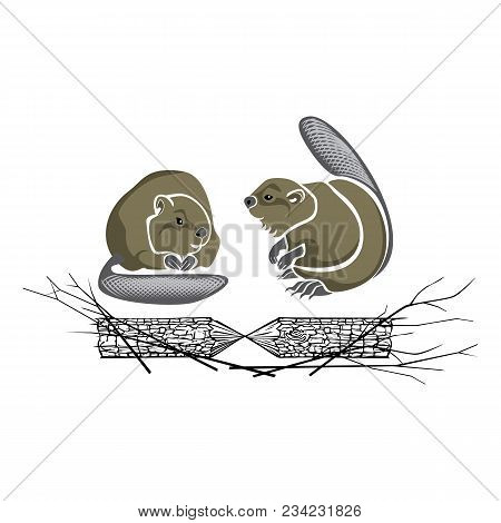 Vector Image Of Two Beavers With A Log And Branches
