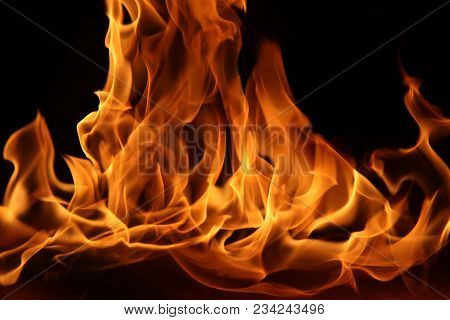 Pictures Of The Dance Of The Flames In Camp Fire