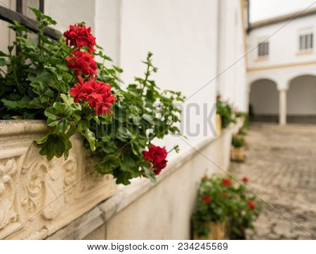 Red Flowers Or Geraniums In Stone Window Box Or Flowerpot In Front Of Old Courtyard