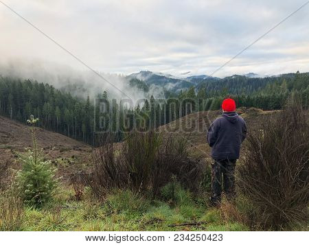 Hunter With His Back To The Camera Facing Towards A Clearcut Looking For Elk In A Tree Farm In Orego