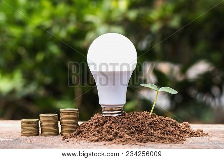 Led Blub With Green Seedling And Money On Dirt. Concept Saving Energy Power