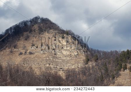 Mountain Slope In The Caucasus Mountains. Trees Without Leaves