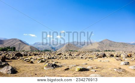 Anicent Site Of Petroglyphs Near Cholpon-ata,  Kyrgyzstan During Summer