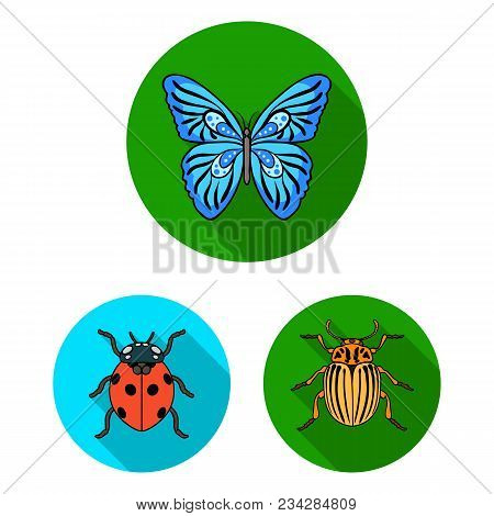 Different Kinds Of Insects Flat Icons In Set Collection For Design. Insect Arthropod Vector Symbol S