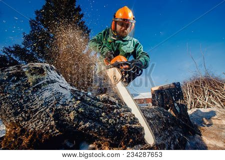 Chainsaw. Close-up Of Woodcutter Lumberjack Is Man Sawmill Saws Tree.