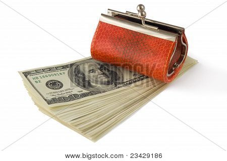 Dinero y la cartera, aislado