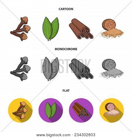 Clove, Bay Leaf, Nutmeg, Cinnamon.herbs And Spices Set Collection Icons In Cartoon, Flat, Monochrome