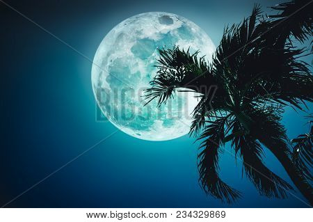Supermoon. Beautiful Night Landscape Of Blue Sky With Full Moon Behind Betel Palm Tree, Outdoor In G