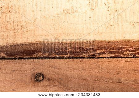 Light Brown Dusty Wood Texture Background Concept