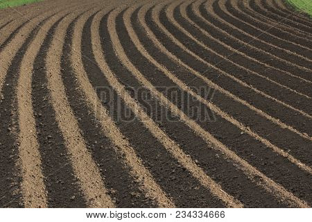 Fertile Soil As Basis For A Functional Agricultural Cultivation