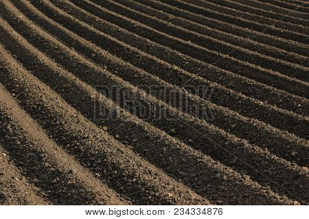 Fertile Soil As Basis For A Functional Agricultural Cultivation