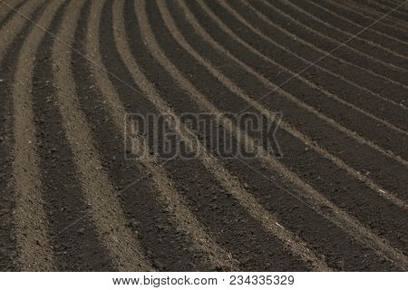 Fertile Soil As Basis For A Functional Agricultural Cultivation