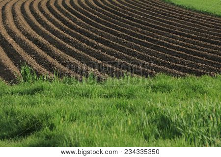 Fertile Soil As Basis For A Functional Agricultural Cultivation