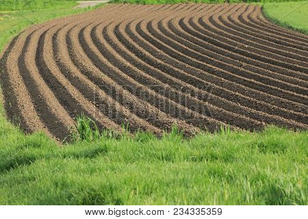 Fertile Soil As Basis For A Functional Agricultural Cultivation