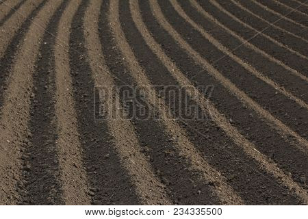 Fertile Soil As Basis For A Functional Agricultural Cultivation