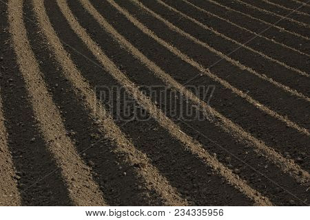 Fertile Soil As Basis For A Functional Agricultural Cultivation