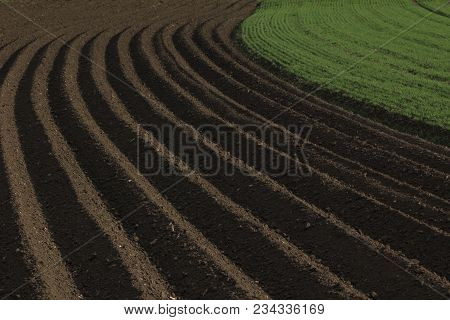 Fertile Soil As Basis For A Functional Agricultural Cultivation