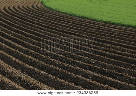 Fertile Soil As Basis For A Functional Agricultural Cultivation