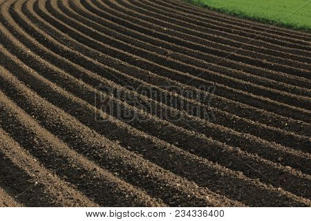 Fertile Soil As Basis For A Functional Agricultural Cultivation