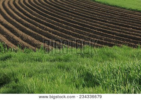 Fertile Soil As Basis For A Functional Agricultural Cultivation