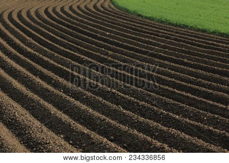 Fertile Soil As Basis For A Functional Agricultural Cultivation